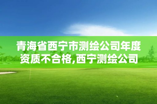 青海省西寧市測繪公司年度資質不合格,西寧測繪公司聯系方式。