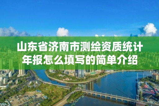 山東省濟南市測繪資質(zhì)統(tǒng)計年報怎么填寫的簡單介紹