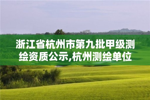 浙江省杭州市第九批甲級測繪資質公示,杭州測繪單位招聘。