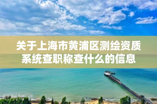 關于上海市黃浦區測繪資質系統查職稱查什么的信息