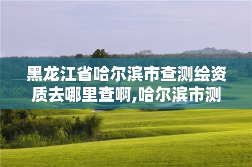 黑龍江省哈爾濱市查測繪資質去哪里查啊,哈爾濱市測繪公司。