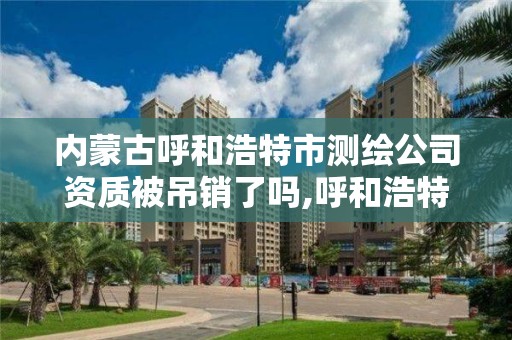 內蒙古呼和浩特市測繪公司資質被吊銷了嗎,呼和浩特測繪招聘。