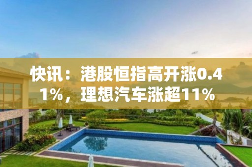 快訊：港股恒指高開漲0.41%，理想汽車漲超11%