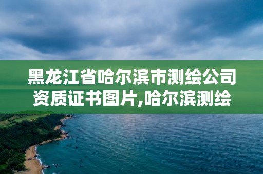 黑龍江省哈爾濱市測繪公司資質(zhì)證書圖片,哈爾濱測繪公司有哪些。