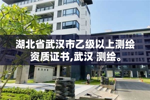 湖北省武漢市乙級以上測繪資質證書,武漢 測繪。