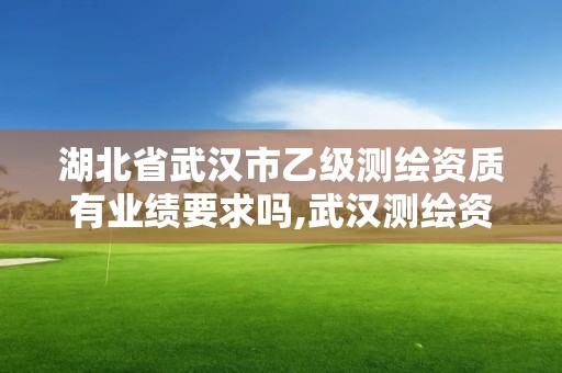 湖北省武漢市乙級測繪資質(zhì)有業(yè)績要求嗎,武漢測繪資質(zhì)代辦。