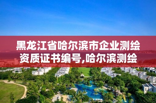 黑龍江省哈爾濱市企業(yè)測繪資質(zhì)證書編號,哈爾濱測繪地理信息局。