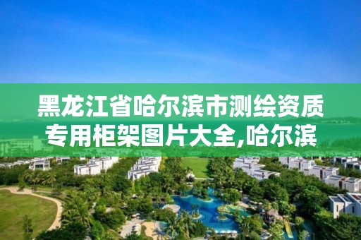 黑龍江省哈爾濱市測繪資質專用柜架圖片大全,哈爾濱測繪公司有哪些。