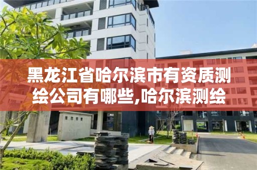 黑龍江省哈爾濱市有資質測繪公司有哪些,哈爾濱測繪專科學校。