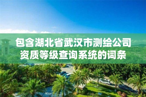 包含湖北省武漢市測繪公司資質等級查詢系統的詞條