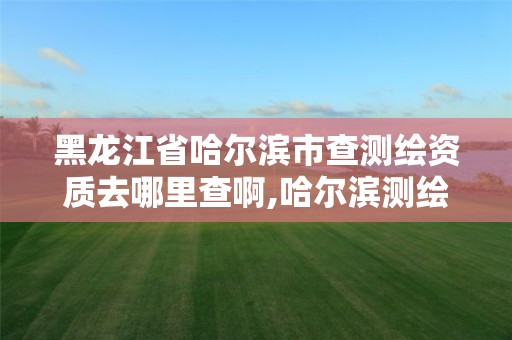 黑龍江省哈爾濱市查測繪資質去哪里查啊,哈爾濱測繪招聘信息。