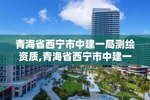 青海省西寧市中建一局測繪資質,青海省西寧市中建一局測繪資質公示。