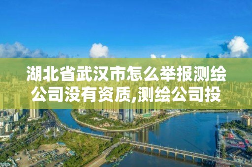 湖北省武漢市怎么舉報測繪公司沒有資質,測繪公司投訴管理制度。