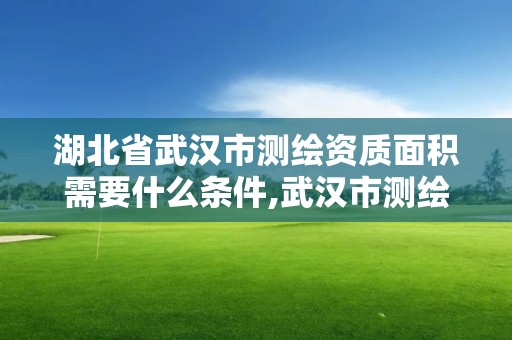 湖北省武漢市測繪資質(zhì)面積需要什么條件,武漢市測繪院怎么樣。