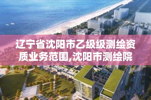 遼寧省沈陽市乙級級測繪資質業務范圍,沈陽市測繪院是什么單位。