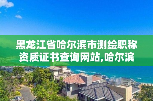 黑龍江省哈爾濱市測繪職稱資質證書查詢網站,哈爾濱測繪勘察研究院怎么樣。