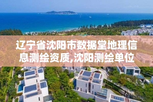 遼寧省沈陽市數(shù)據堂地理信息測繪資質,沈陽測繪單位。