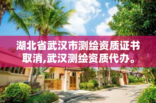 湖北省武漢市測繪資質證書取消,武漢測繪資質代辦。