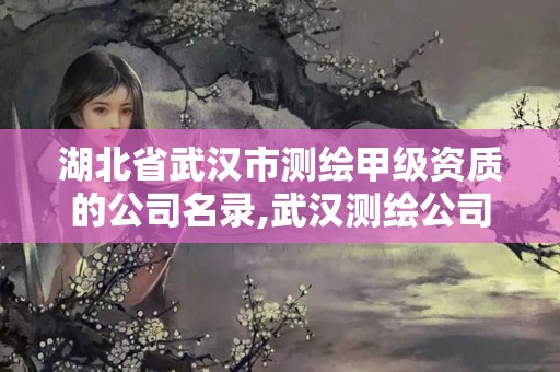 湖北省武漢市測繪甲級資質的公司名錄,武漢測繪公司招聘。