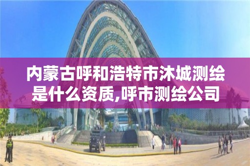 內蒙古呼和浩特市沐城測繪是什么資質,呼市測繪公司。