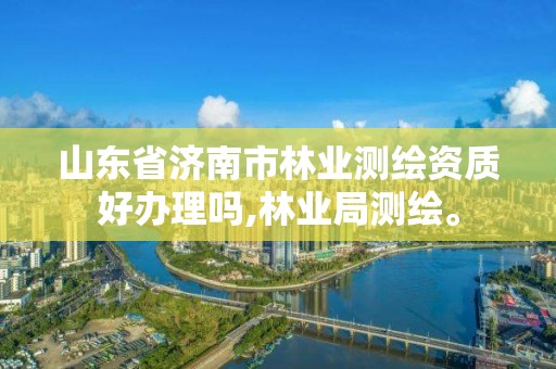 山東省濟(jì)南市林業(yè)測(cè)繪資質(zhì)好辦理嗎,林業(yè)局測(cè)繪。