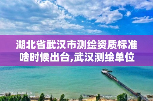 湖北省武漢市測繪資質標準啥時候出臺,武漢測繪單位。