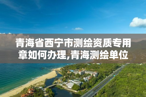 青海省西寧市測繪資質專用章如何辦理,青海測繪單位。