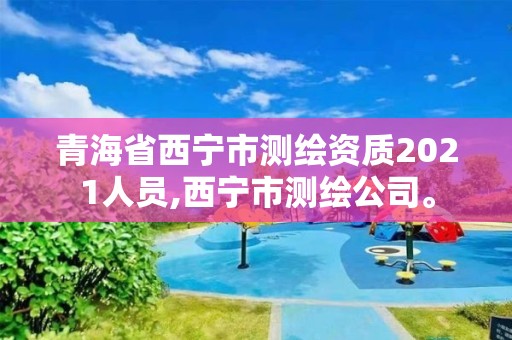 青海省西寧市測繪資質2021人員,西寧市測繪公司。