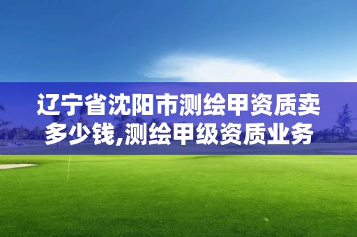 遼寧省沈陽市測繪甲資質賣多少錢,測繪甲級資質業務范圍。