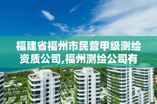 福建省福州市民營甲級測繪資質公司,福州測繪公司有幾家。