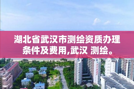 湖北省武漢市測繪資質辦理條件及費用,武漢 測繪。