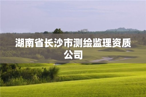 湖南省長沙市測繪監理資質公司