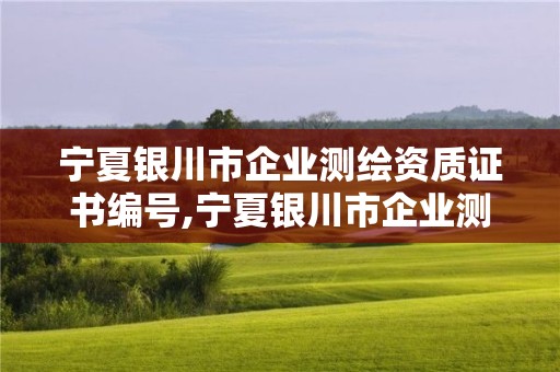 寧夏銀川市企業測繪資質證書編號,寧夏銀川市企業測繪資質證書編號是多少。