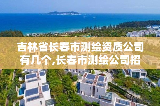 吉林省長春市測繪資質公司有幾個,長春市測繪公司招聘。