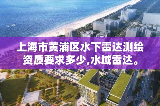 上海市黃浦區水下雷達測繪資質要求多少,水域雷達。