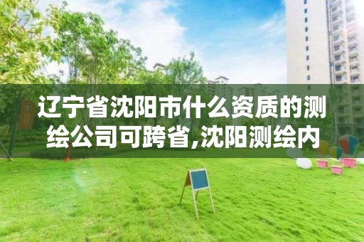 遼寧省沈陽市什么資質的測繪公司可跨省,沈陽測繪內業招聘信息。