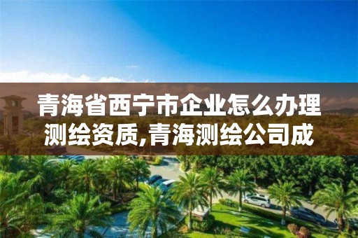 青海省西寧市企業(yè)怎么辦理測繪資質(zhì),青海測繪公司成員名單。