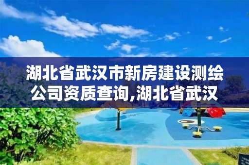 湖北省武漢市新房建設測繪公司資質查詢,湖北省武漢市新房建設測繪公司資質查詢電話。