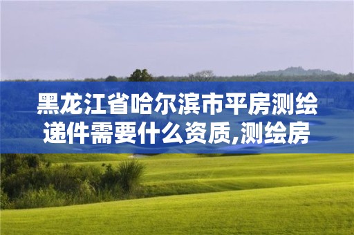 黑龍江省哈爾濱市平房測繪遞件需要什么資質,測繪房子多少錢。