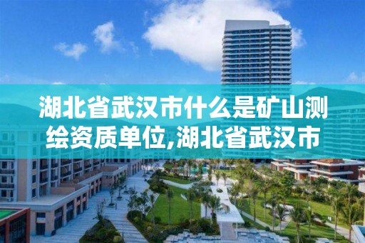 湖北省武漢市什么是礦山測繪資質單位,湖北省武漢市什么是礦山測繪資質單位。