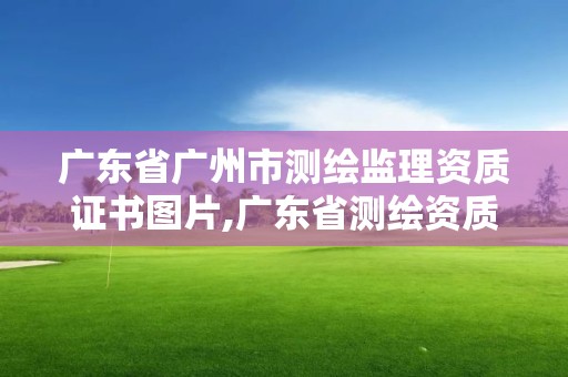 廣東省廣州市測(cè)繪監(jiān)理資質(zhì)證書(shū)圖片,廣東省測(cè)繪資質(zhì)單位名單。