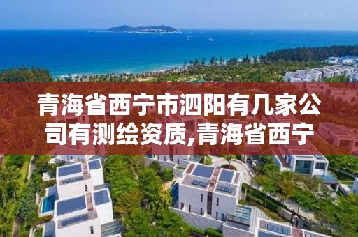 青海省西寧市泗陽有幾家公司有測繪資質,青海省西寧市泗陽有幾家公司有測繪資質的公司。