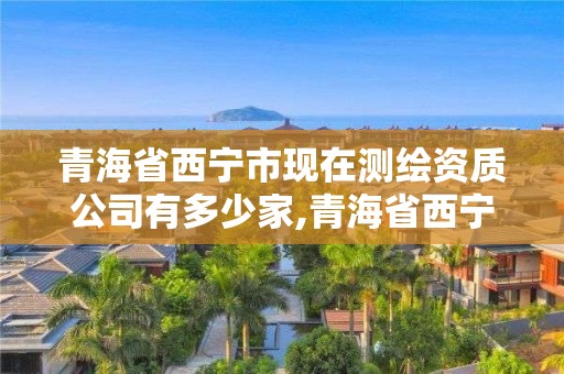 青海省西寧市現(xiàn)在測(cè)繪資質(zhì)公司有多少家,青海省西寧市現(xiàn)在測(cè)繪資質(zhì)公司有多少家。