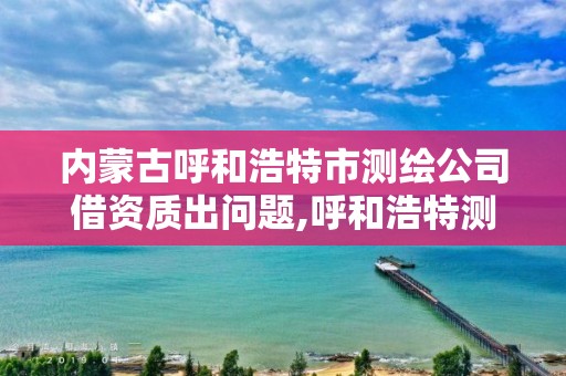 內(nèi)蒙古呼和浩特市測繪公司借資質(zhì)出問題,呼和浩特測繪儀器店。