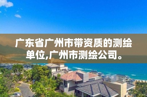 廣東省廣州市帶資質(zhì)的測繪單位,廣州市測繪公司。