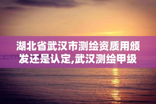 湖北省武漢市測繪資質用頒發還是認定,武漢測繪甲級資質公司。