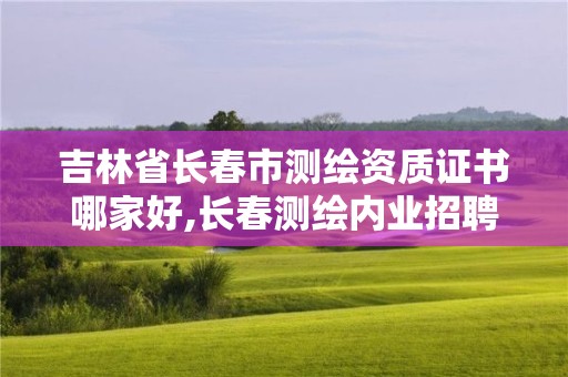 吉林省長春市測繪資質證書哪家好,長春測繪內業招聘。