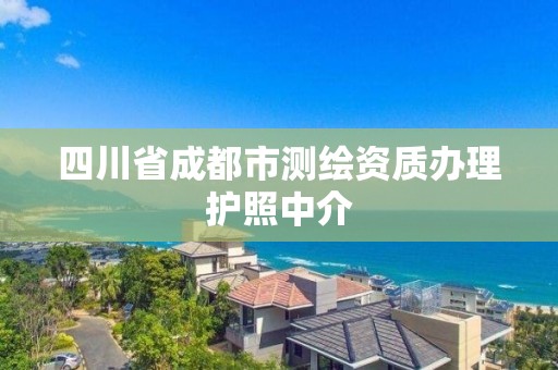 四川省成都市測繪資質辦理護照中介