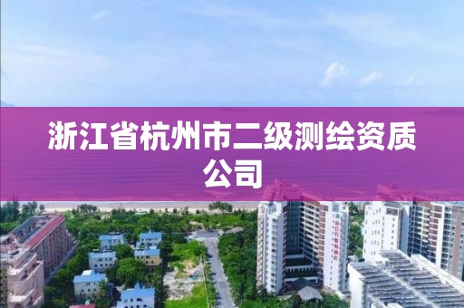 浙江省杭州市二級測繪資質(zhì)公司