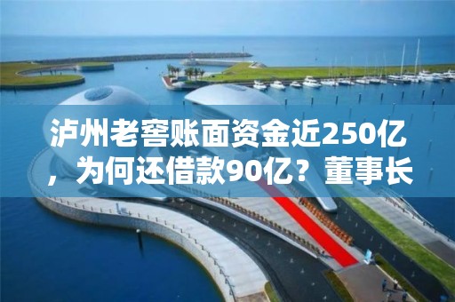 瀘州老窖賬面資金近250億，為何還借款90億？董事長：適度提升財(cái)務(wù)杠桿